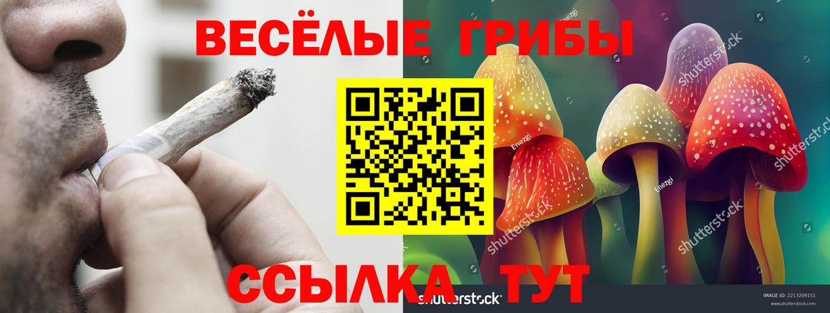 Балашиха  Галлюциногенные грибы ЛСД  Вход с VPN 
